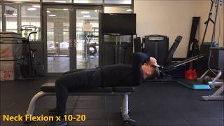 4 Way Neck (Neck Strength)