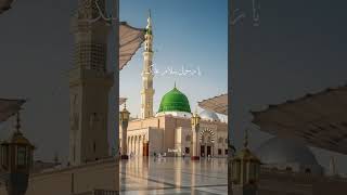 Download Lagu Ya Habibi Ya Muhammad (SAW)🥀❤️#islamicvideo #love #shortvideo #beautiful ❣️ MP3