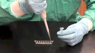 ELISA method to simulate STD transmission