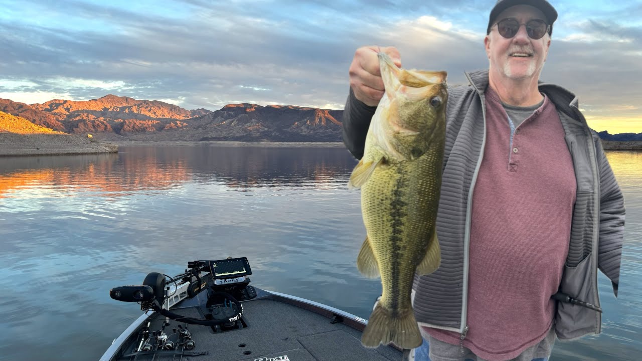BIG BASS LANDED! Lake Mead Fishing Report • Female Pre-Spawn Biters