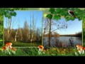 HET ZUIGERPLASBOS.