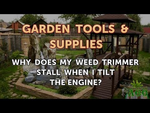 Weed Eater Stalls When Given Throttle