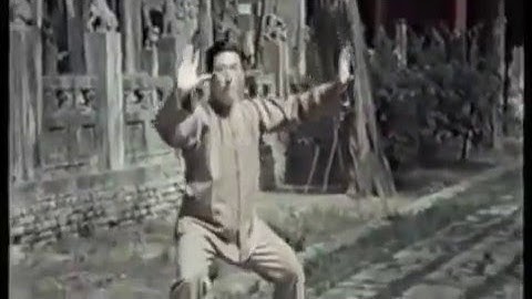 Taiji Grand Master Chen Xiao Wang