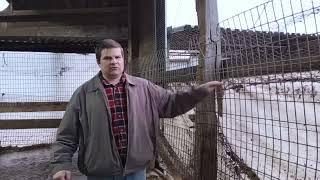 Freestall barn livestock curtains protection Don t leave cows ruin your curtains