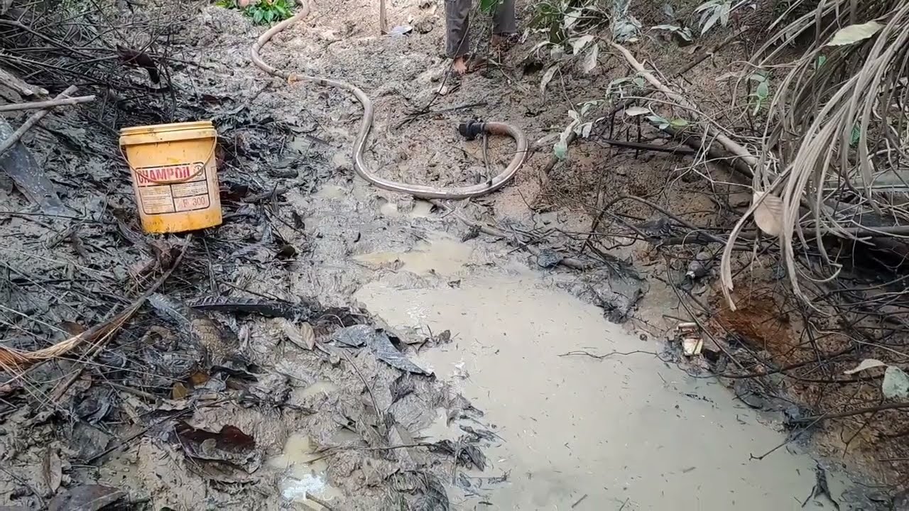 Menguras ikan waderan dapat akeh