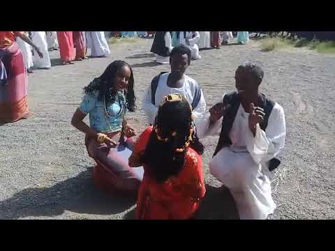 تراث البني عامر عامراب و الحباب شرق السودان