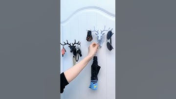 Chiếc móc treo đồ decor thú vị