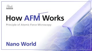 Celebrity How AFM Works 1-1 AFM Principle Profile