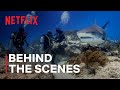 Our planet ii  behind the scenes  netflix