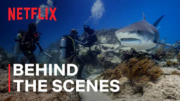 Our Planet II | Behind the Scenes | Netflix