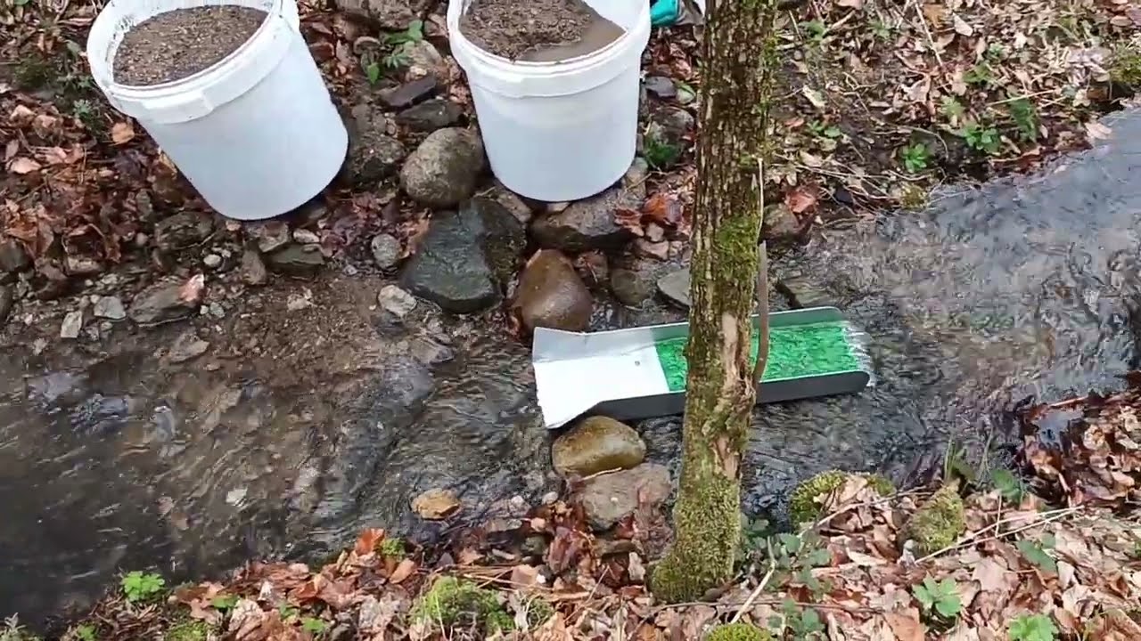 Дали има злато тук?  Пуснах улей за 3 часа да видим какво ще излезе.