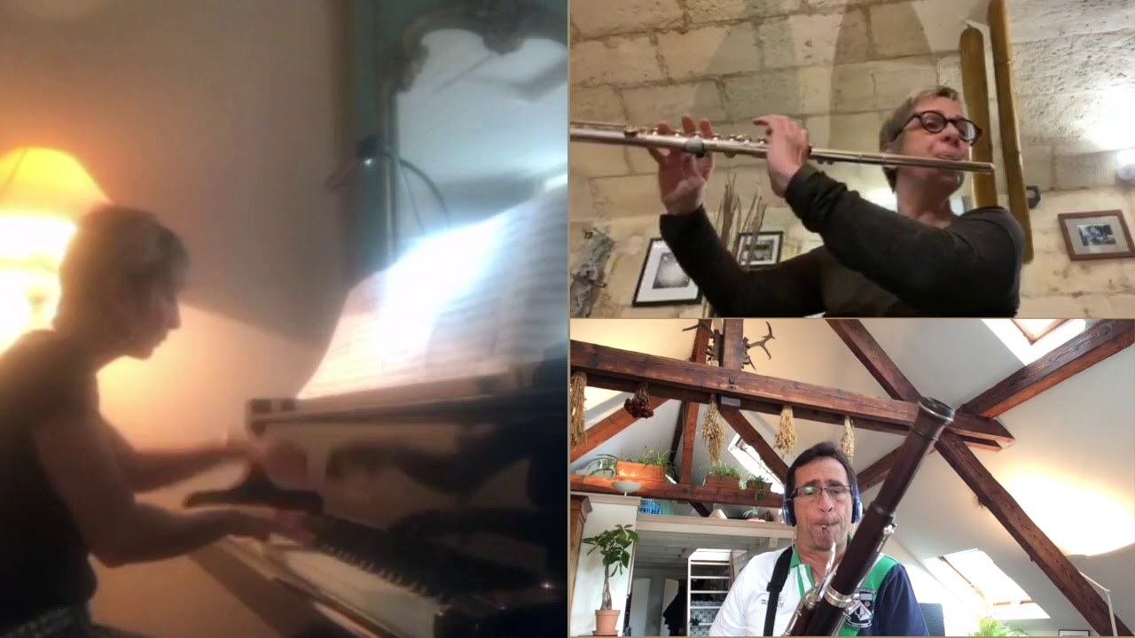 Franz KROMMER Concerto pour flûte et basson YouTube