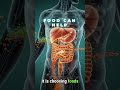 Fastest Way to Shrink Visceral Fat Inside Your Body