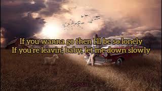 Alec Benjamin - Let Me Down Slowly (Lyrics   Rock Version Cover by Kurt Schneider & First To Eleven)