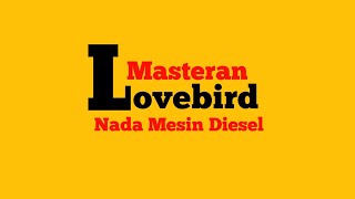 Download lagu Masteran Lovebird Konslet || Nada mesin Diesel