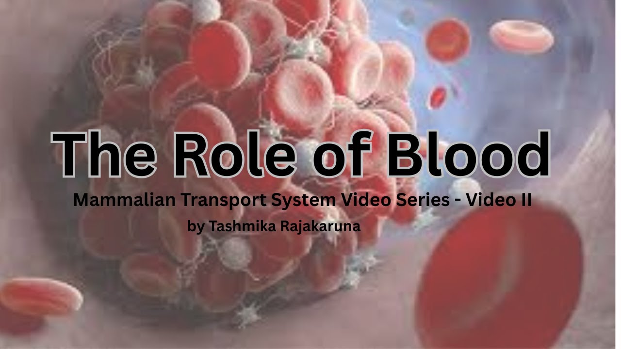 The Role of Blood - Edexcel AL Biology
