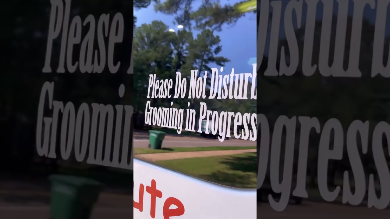 POV: Grooming Day With Aussie Pet Mobile