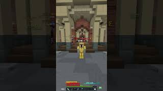 I Completely Forgot About This.. Hypixel Skyblock