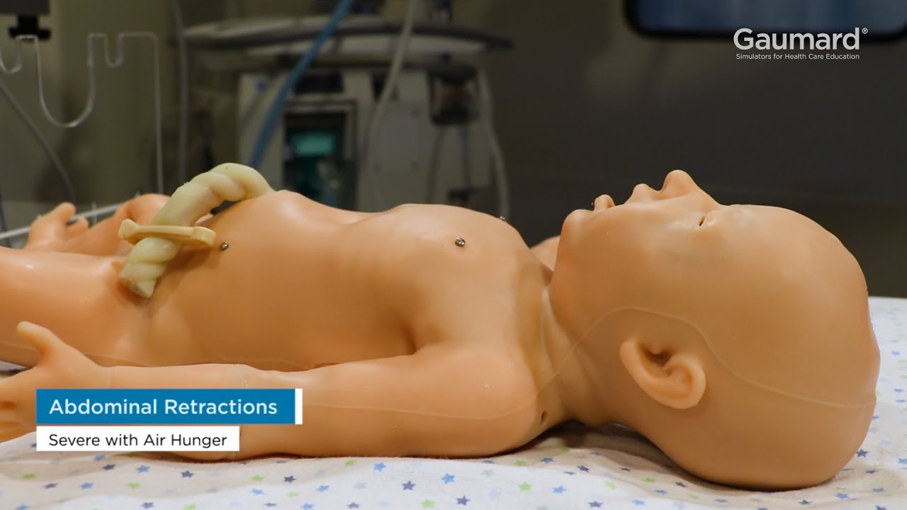 Gaumard® Super Tory® S2220: Respiratory Features How-To Episode 4/11