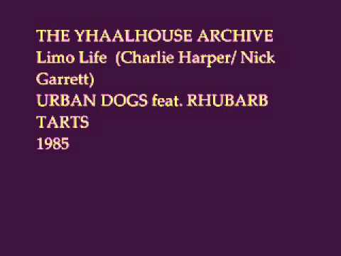 Limo Life- THE URBAN DOGS feat. THE RHUBARB TARTS: THE YHAALHOUSE ARCHIVE