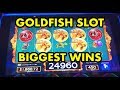 Goldfish Deluxe Live play max bet $4.50 with BONUS FREE ...