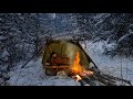 How not to freeze to death in the Wild forest in winter. Bushcraft shelter and campfire for survival