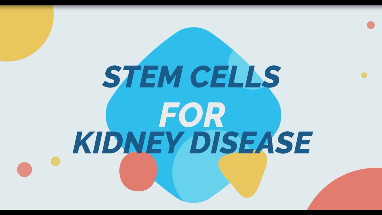 Stem Cell Therapy For Kidney Disease - YouTube