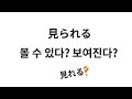れる・られる 4가지 용법 (가능, 수동, 존경, 자발) 그리고, 라누키코토바
