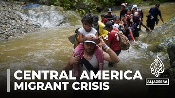 Desperate journeys: Record number of migrants crossing deadly Darien gap