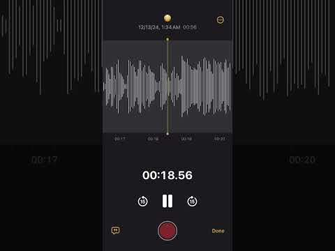 Bris Unreleased Song Snippet 