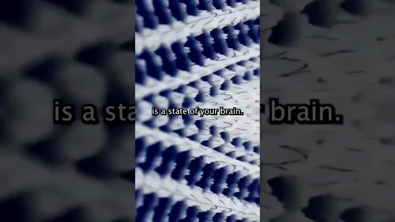 There Is No External World ☯️ 