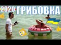 Грибовка/Грибівка 2020 Душевный обзор курорта