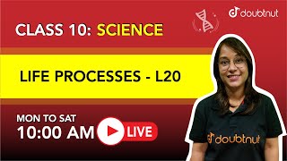 LIFE PROCESSES - L22 | TRANSPORTATION| Class 10 Science | Dolly Ma'm | 10 AM