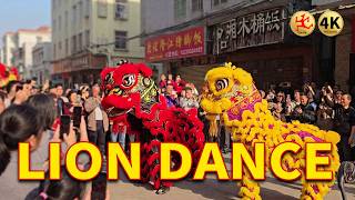 Awakening the Spirit - Chaoshan Lion Dance: The Awakening of Folk Culture