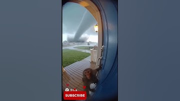 This monkey tried to warn everyone... LET HIM IN! 🌪️🐒 #tornado #monkey