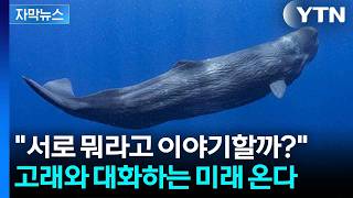 [자막뉴스] 고래들의 언어 '코다'의 비밀...AI 로봇으로 밝혀낸다