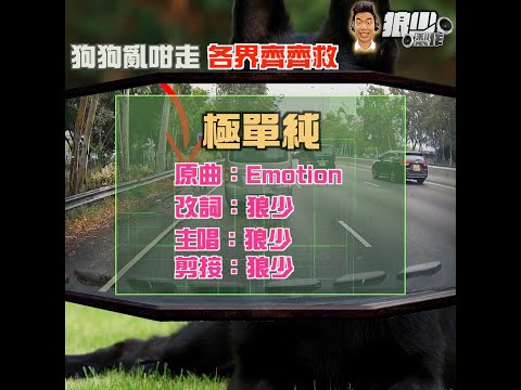 【二創車Cam｜狼少製作】極單純｜狗狗亂咁走 各界齊齊救(原曲：Emotion)
