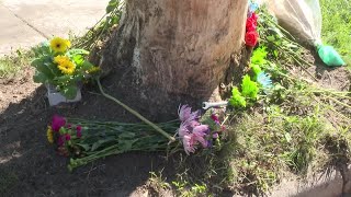 Celebrity One man dead after early morning Appleton crash Profile