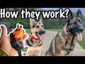 Off Leash Trained German Shepherds!