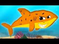 Scary Flying Shark, Animal Cartoon and Fun Halloween Video for Babies