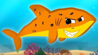 Scary Flying Shark, Animal Cartoon and Fun Halloween Video for Babies