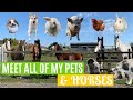 Meet All Of My Pets & Horses | Updated Version | Lockdown Day 19