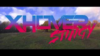 Autumn With The Stingy