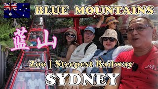 Blue Mountains Sydney |  蓝山 .  悉尼动物园 . 风景世界 | SYDNEY ZOO | KANGAROO BURGER | LEURA | SCENIC WORLD