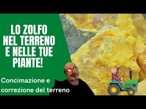 Video: Piogge acide e danni alle piante - Effetti della pioggia acida sulla crescita delle piante