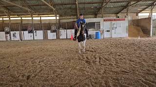 Aug24 Kd Pp64 Gt Rein Kristen Boyd Haslers Dream Angel Dldd