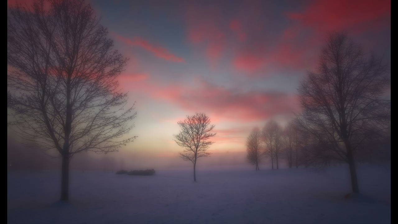 [Playlist] Goodbye Winter | Remembering the Cold