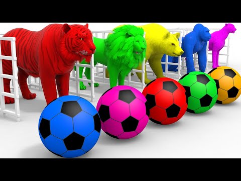 Baa Baa Black Sheep Song - More Nursery Rhymes & Kids Songs - Fun Cartoons For Kids