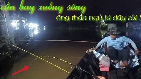 Câu ngay ổ cá dồ đém, cá tra, cá cóc - Phát hiện ra cách câu siêu hiệu quả T154