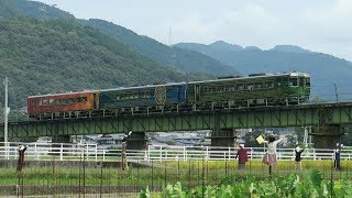 沿線カカシたちが見送る JR四国 土讃線 観光列車 & 特急南風 走行 2019 09